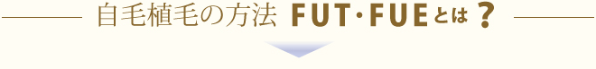 自毛植毛の方法 FUT・FUEとは？