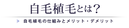 自毛植毛とは？