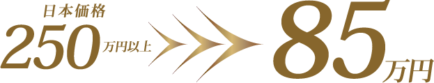 日本価格250万以上が85万円