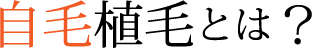自毛植毛とは？