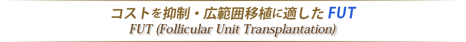 コストを抑制・広範囲移植に適したFUT
