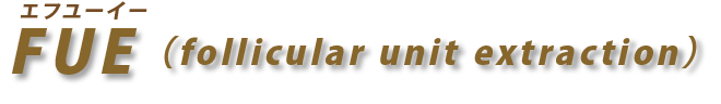 FUE（follicular unit extraction）