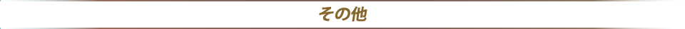 その他